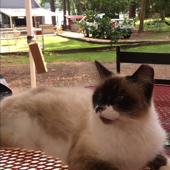 Happiness - Picture 8 of 8